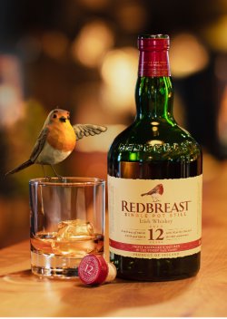 Robin Redbreast